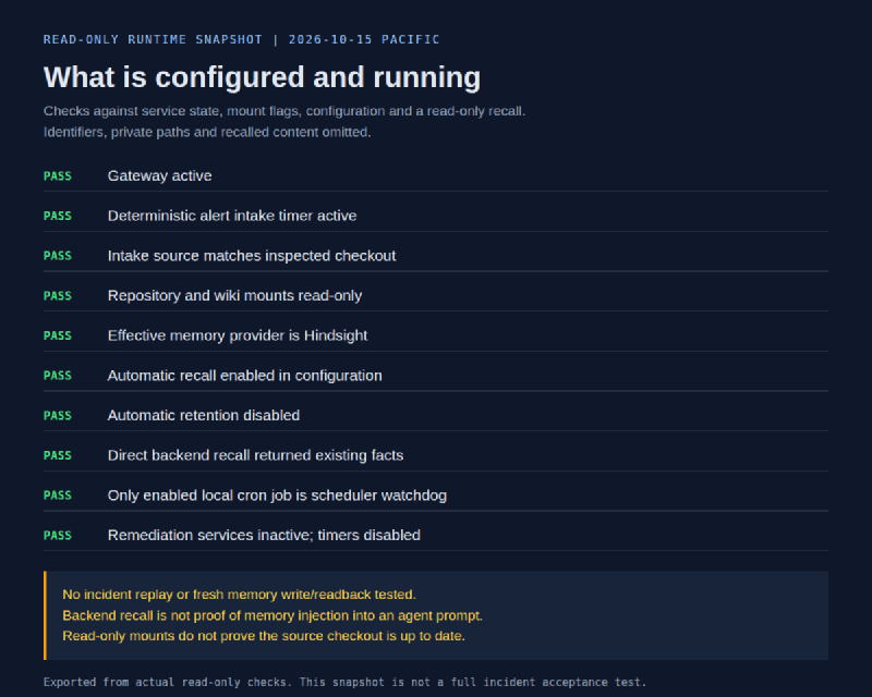 Read-only runtime snapshot of active intake, context, memory configuration and inactive remediation