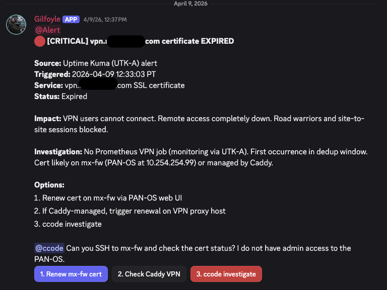 Gilfoyle&rsquo;s CRITICAL alert for expired VPN certificate with actionable buttons: Renew, Check Caddy, ccode investigate